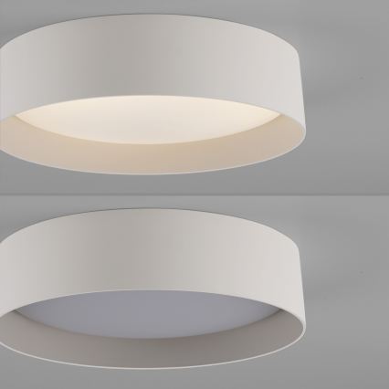 Schöner Wohnen 14593-39 - dimmbare LED-Deckenleuchte TAVOLI LED/10W/230V 2700–6500K Ø 28,5 cm grau + Fernbedienung