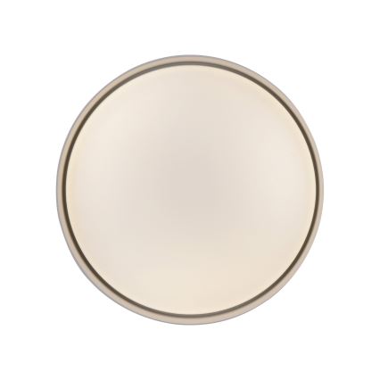 Schöner Wohnen 14593-39 - dimmbare LED-Deckenleuchte TAVOLI LED/10W/230V 2700–6500K Ø 28,5 cm grau + Fernbedienung