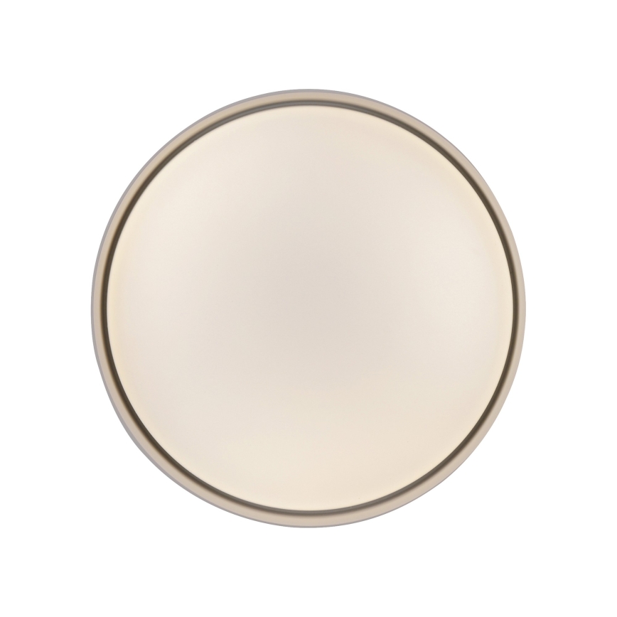 Schöner Wohnen 14593-39 - dimmbare LED-Deckenleuchte TAVOLI LED/10W/230V 2700–6500K Ø 28,5 cm grau + Fernbedienung