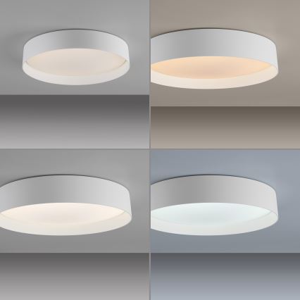 Schöner Wohnen 14594-16 - LED-dimmbare Deckenleuchte TAVOLI LED/20W/230V 2700–6500K Ø 39 cm Weiß + Fernbedienung