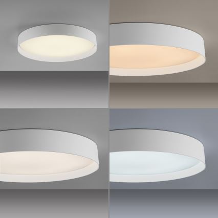 Schöner Wohnen 14595-16 - dimmbare LED-Deckenleuchte TAVOLI LED/34W/230V 2700–6500K Ø 49 cm weiß + Fernbedienung