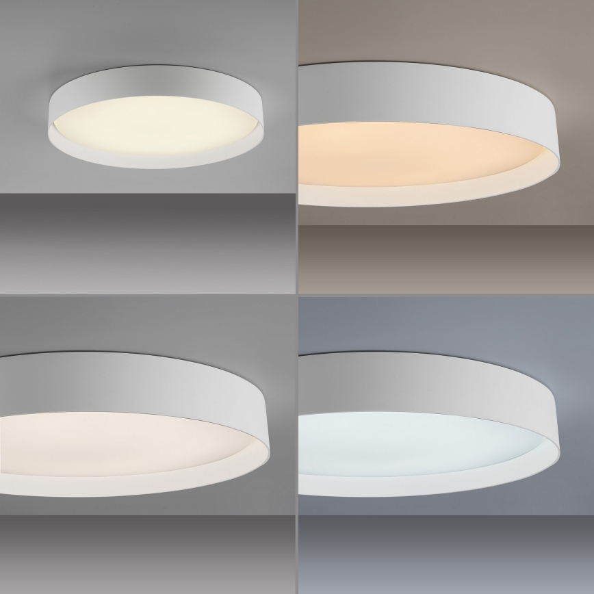 Schöner Wohnen 14595-16 - dimmbare LED-Deckenleuchte TAVOLI LED/34W/230V 2700–6500K Ø 49 cm weiß + Fernbedienung