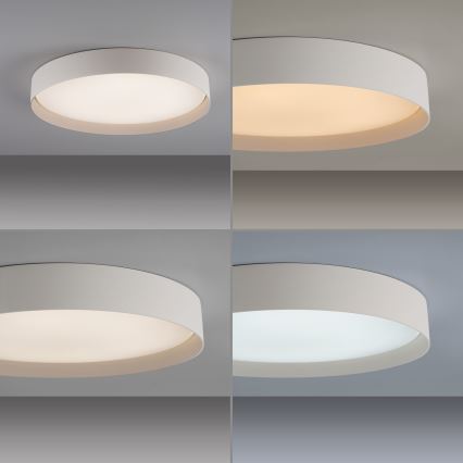 Schöner Wohnen 14595-39 - LED-dimmbare Deckenleuchte TAVOLI LED/34W/230V 2700-6500K Ø 49 cm grau + Fernbedienung