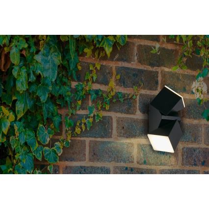 Searchlight - LED-Außenwandleuchte MONTANA 2xLED/6W/230V IP44