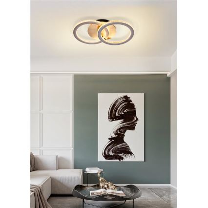 Searchlight - LED-dimmbare Deckenleuchte SPECS LED/24W/230V 3000K 25x42,5 cm