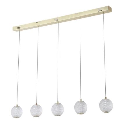 Searchlight - LED-Pendelleuchte mit Seil ALLURE 5xLED/4,2W/230V