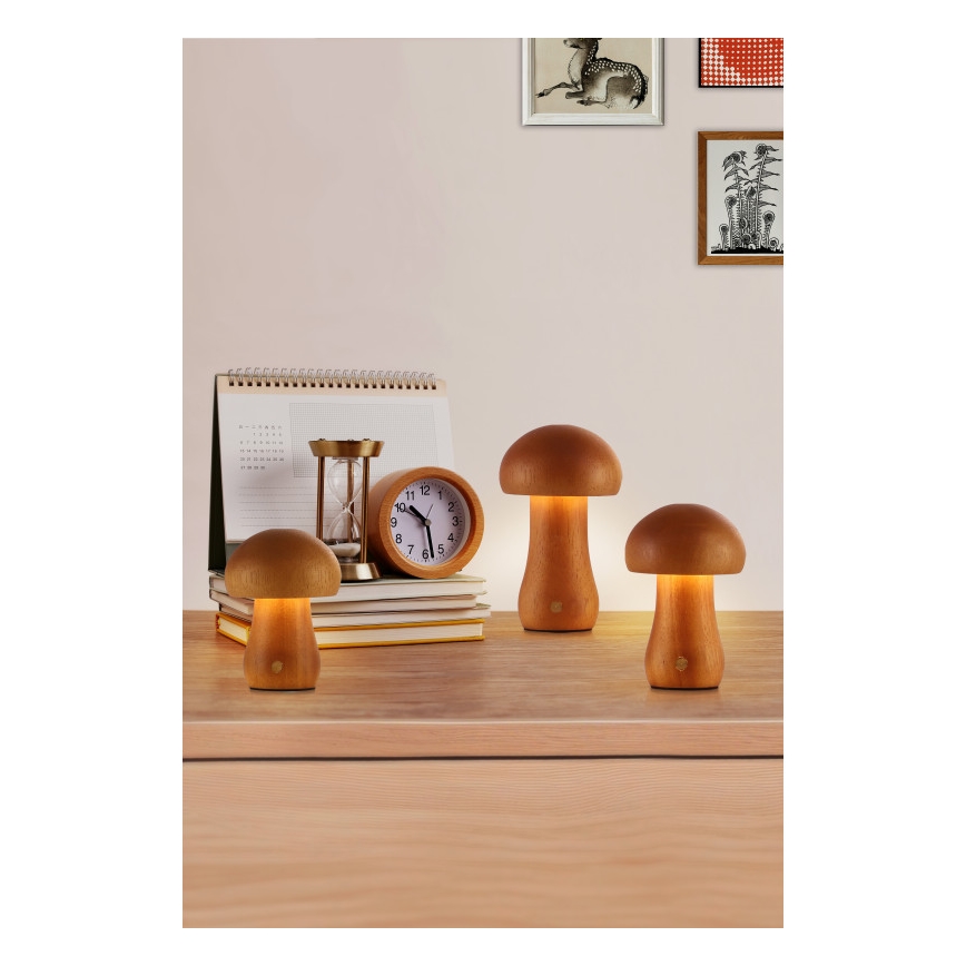 Searchlight - SET 3x LED Tischleuchte MUSHROOM LED/1,1W/5V 800 mAh