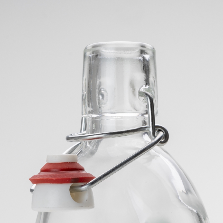 Set 1x Glasflasche und 2x Shot-Gläser klar mit Pflaumenmotiv