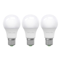 SET 3x LED-Lampe ECOLINE A60 E27/15W/230V 4000K - Brilagi