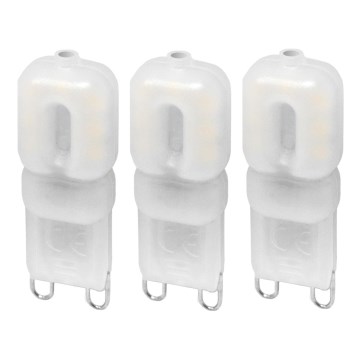 SET 3x LED-Lampe ECOLINE G9/2,5W/230V 3000K - Brilagi