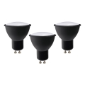 SET 3x LED-Lampe ECOLINE GU10/6W/230V 4000K schwarz - Brilagi