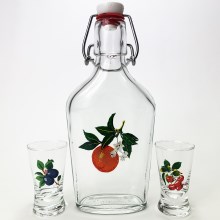 Set Vektor - 1x große Flasche + 2x Shot-Gläser klar mit Fruchtmotiv