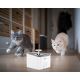 Smart-Trinkbrunnen für Haustiere 3,5l 230V Wi-Fi