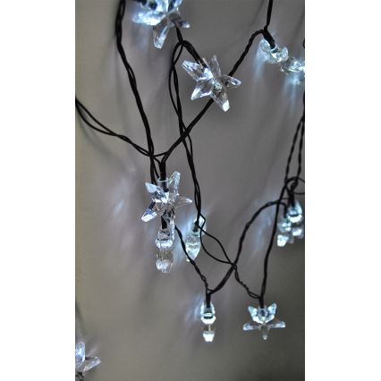LED Weihnachtskette 3m 20xLED/230V