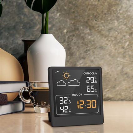 Digitales Thermometer 5V/2xAAA + 2xAAA schwarz