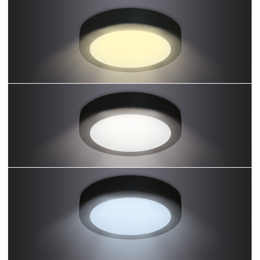 LED-Deckenleuchte LED/12W/230V 3000/4000/6000K schwarz rund