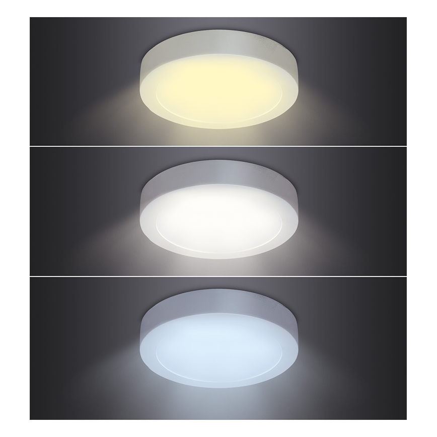 LED-Deckenleuchte LED/12W/230V 3000/4000/6000K Ø 17 cm weiß