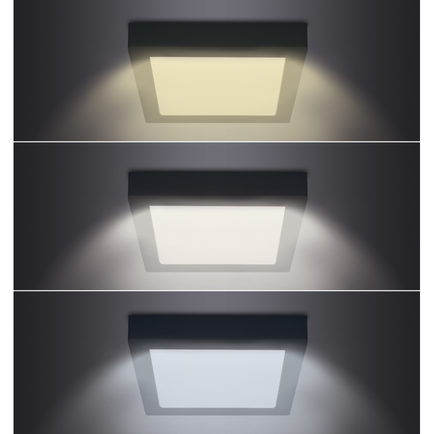 LED-Deckenleuchte LED/18W/230V 3000/4000/6000K schwarz eckig