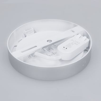 LED-Deckenpanel 2-in-1 (Aufputz-/Einbau-Panel), 12 W, 230 V, 3000/4000/6000 K, Ø17 cm, IP54, silber