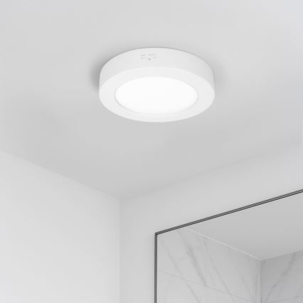 LED-Aufputz-/Einbaupanel 2-in-1 LED/12W/230V 3000/4000/6000K Ø17cm IP54 weiß