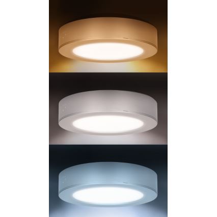 LED-Aufputz-/Einbaupanel 2-in-1 LED/12W/230V 3000/4000/6000K Ø17cm IP54 weiß