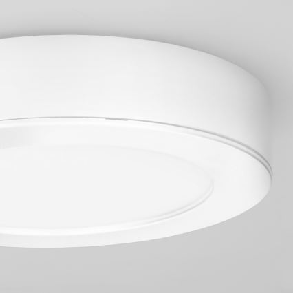 LED-Aufputz-/Einbaupanel 2-in-1 LED/12W/230V 3000/4000/6000K Ø17cm IP54 weiß
