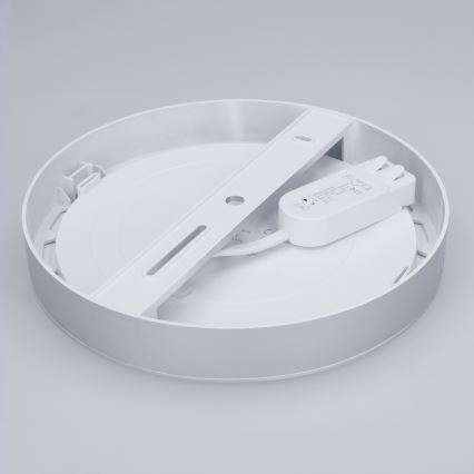 LED Aufbau-/Einbaupanel 2-in-1 18W/230V 3000/4000/6000K Ø 22,5 cm IP54 silber