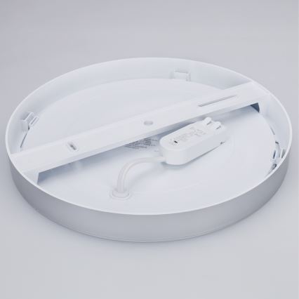 LED-Aufbau-/Einbau-Panel 2-in-1 24W/230V 3000/4000/6000K Ø 30 cm IP54 silber