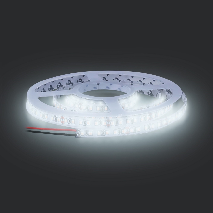 LED-Streifen LED/50W/12V 5m kaltweiß