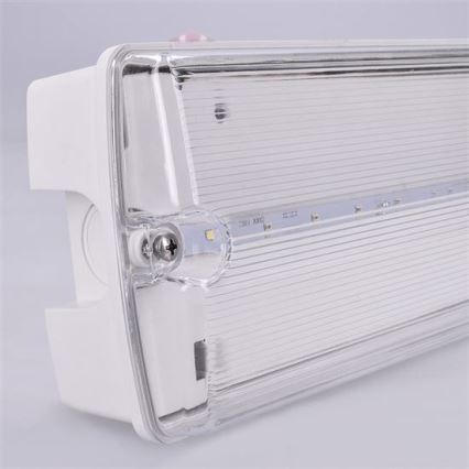 LED-Notleuchte LED/3,2W/230V IP65 6500K