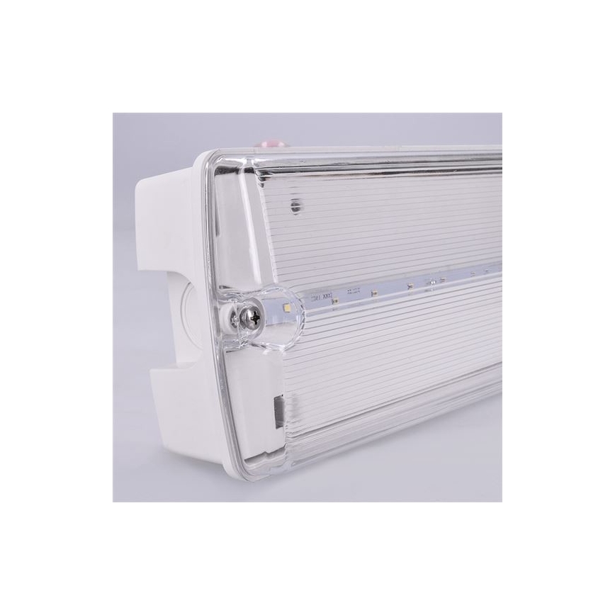 LED-Notleuchte LED/3,2W/230V IP65 6500K
