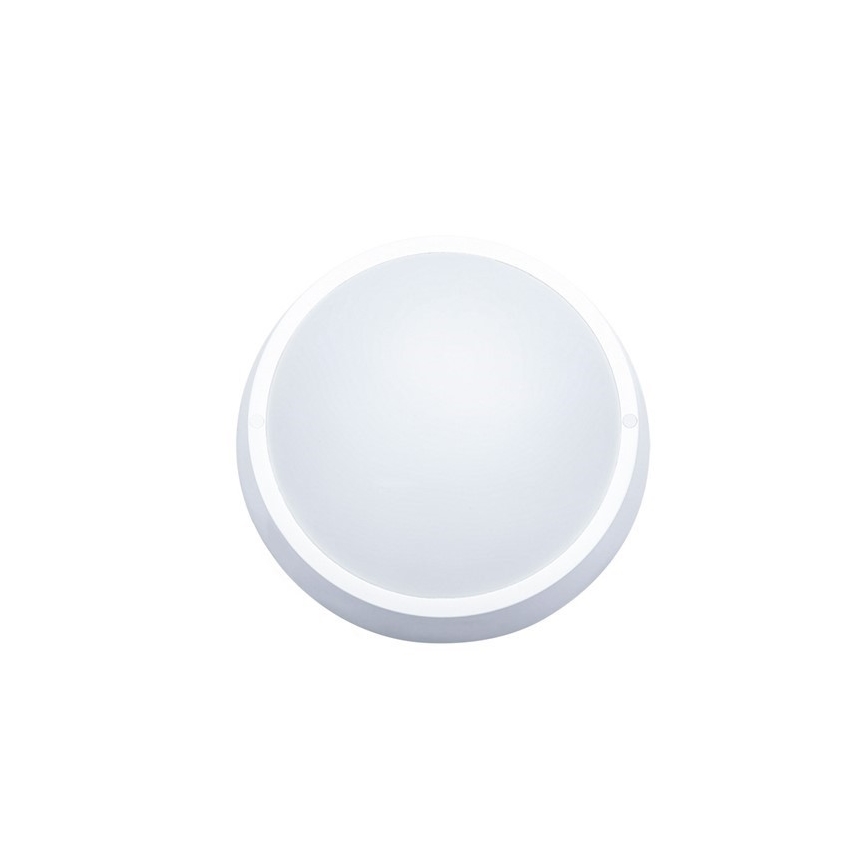 LED-Außen-Deckenleuchte LED/30W/230V IP65