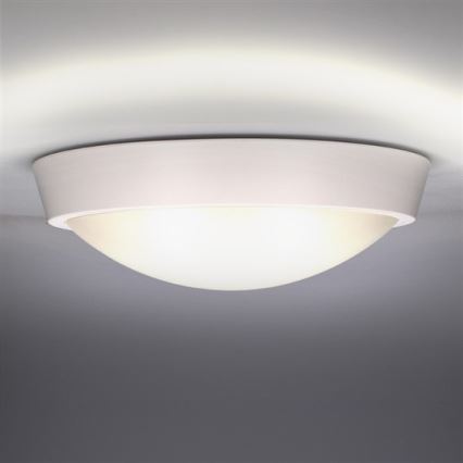LED-Außen-Deckenleuchte LED/30W/230V IP65