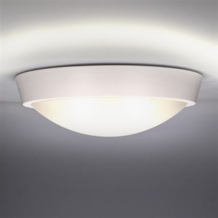 LED-Außendeckenleuchte 1xLED/30W/230V  IP65