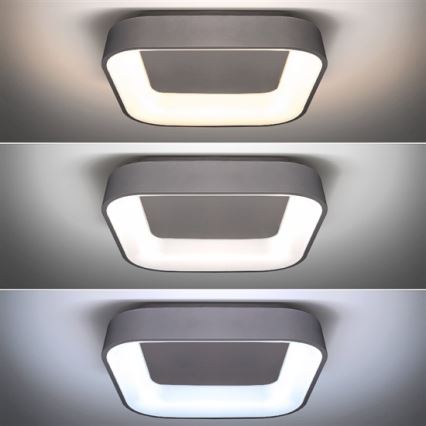 LED Dimmbares Deckenleuchte TREVISO LED/48W/230V + Fernbedienung