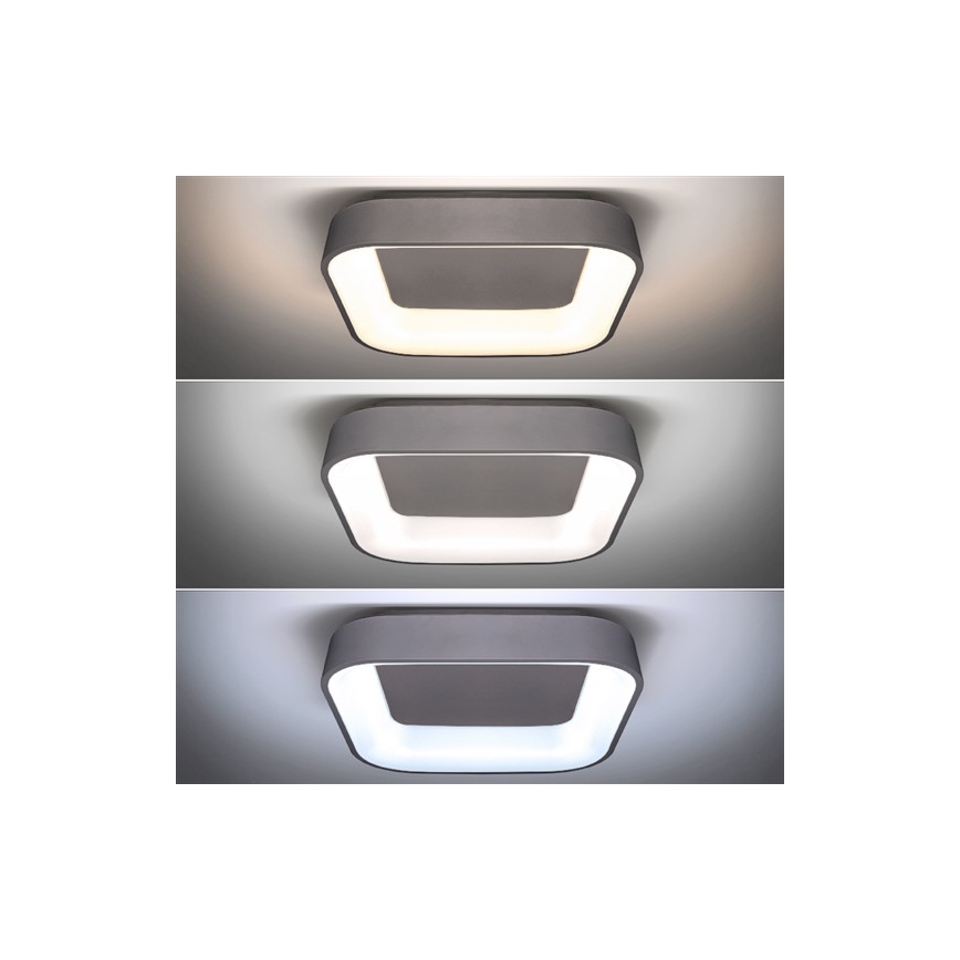 LED Dimmbares Deckenleuchte TREVISO LED/48W/230V + Fernbedienung