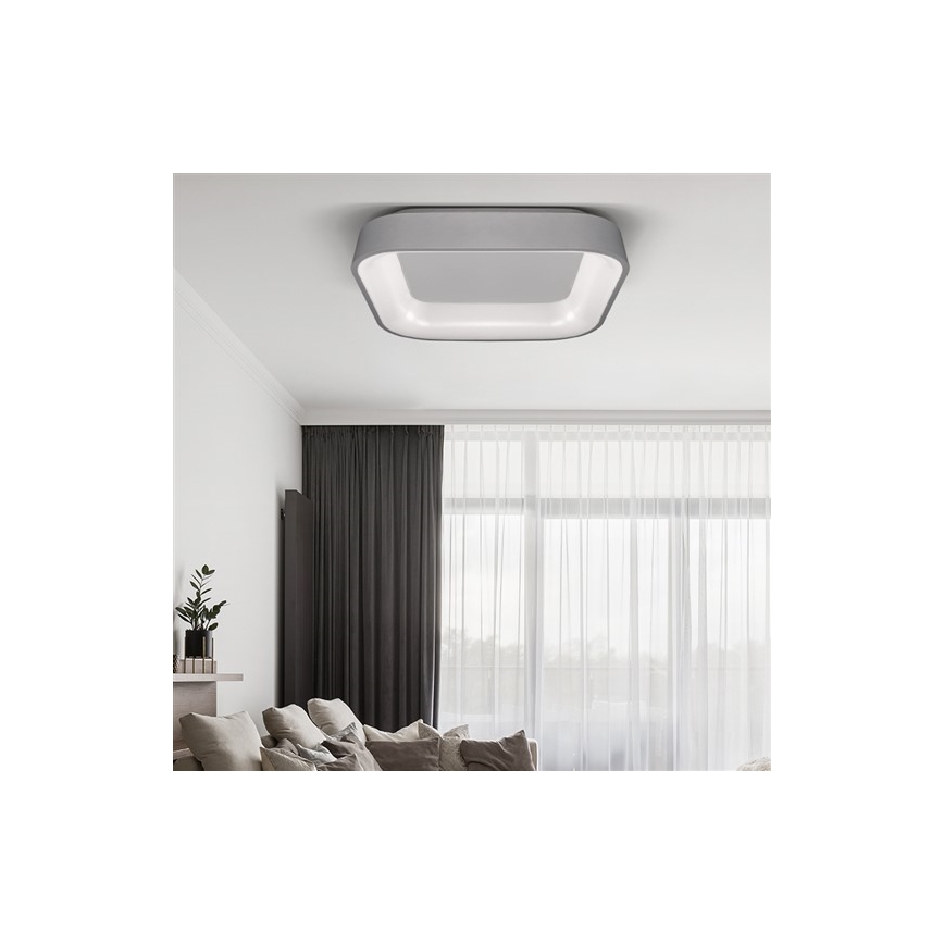 LED Dimmbares Deckenleuchte TREVISO LED/48W/230V + Fernbedienung