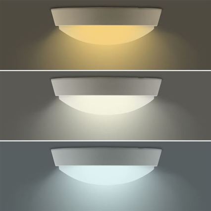 LED-Außenwandleuchte 2-in-1 LED/20W/230V 3000/4000/6500K IP65 Ø 22 cm