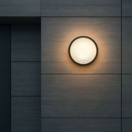 LED-Außenwandleuchte mit 2‑in‑1‑Sensor, LED/20 W/230 V, 3000/4000/6500 K, IP65, Ø 22 cm
