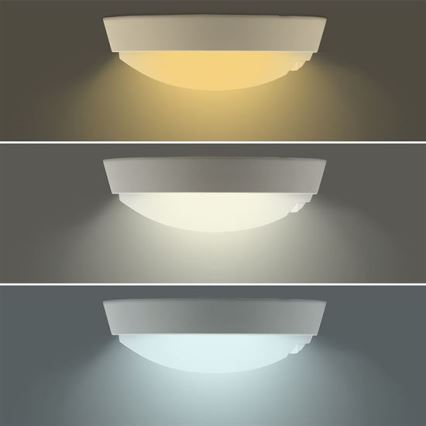 LED-Außenwandleuchte mit 2‑in‑1‑Sensor, LED/20 W/230 V, 3000/4000/6500 K, IP65, Ø 22 cm
