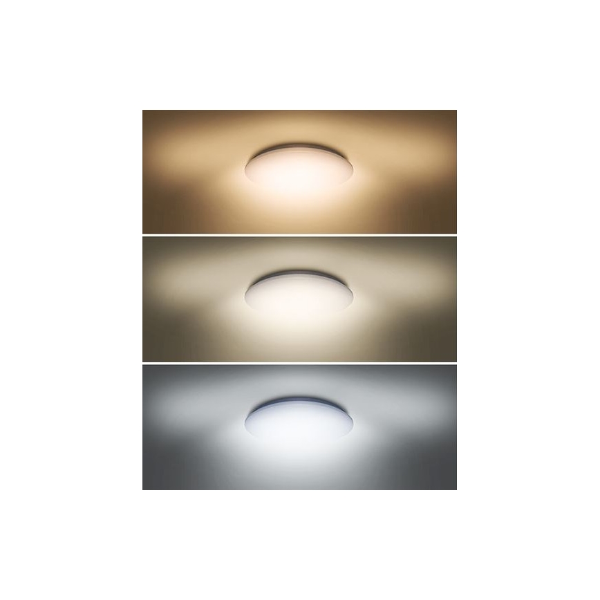 LED-Deckenleuchte PLAIN LED/24W/230V 3000K/4000K/6000K rund