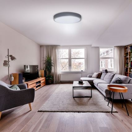 LED Dimmbares Deckenleuchte GREY LED/60W/230V 3000-6500K grau Ø 49 cm + Fernbedienung