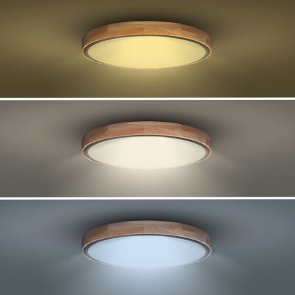 LED Dimmbares Deckenleuchte IRON OAK LED/60W/230V 3000-6500K Eiche Ø 51 cm + Fernbedienung