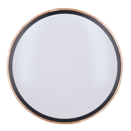 LED Dimmbares Deckenleuchte IRON OAK LED/60W/230V 3000-6500K Eiche Ø 51 cm + Fernbedienung