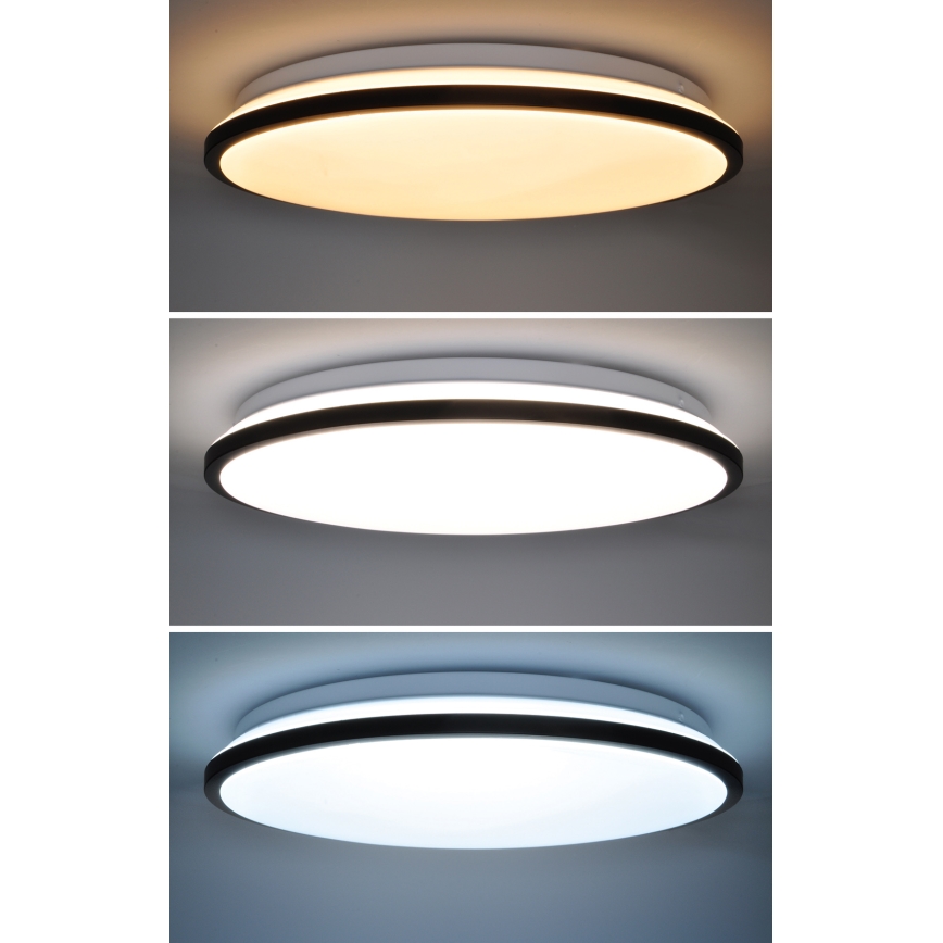 Dimmbare LED-Deckenleuchte JAMIL LED/48W/230V 3000-6500K schwarz + Fernbedienung