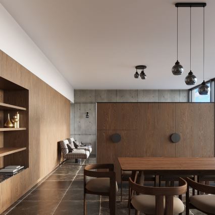 Deckenleuchte an Kabel ALINO 1xE27/60W/230V schwarz