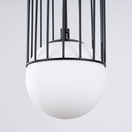 Hängeleuchte an Schnur BRINA 1xG9/8W/230V schwarz