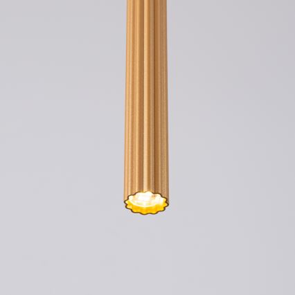 Hängeleuchte an Schnur ARCHE 1xG9/8W/230V golden