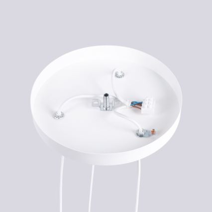 Hängeleuchte HALO 3xG9/8W/230V d 25 cm weiß