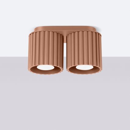 Spotleuchte AURA 2xGU10/10W/230V braun